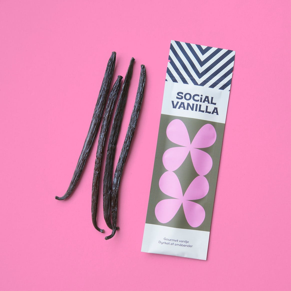 Big gourmet vanilla pods